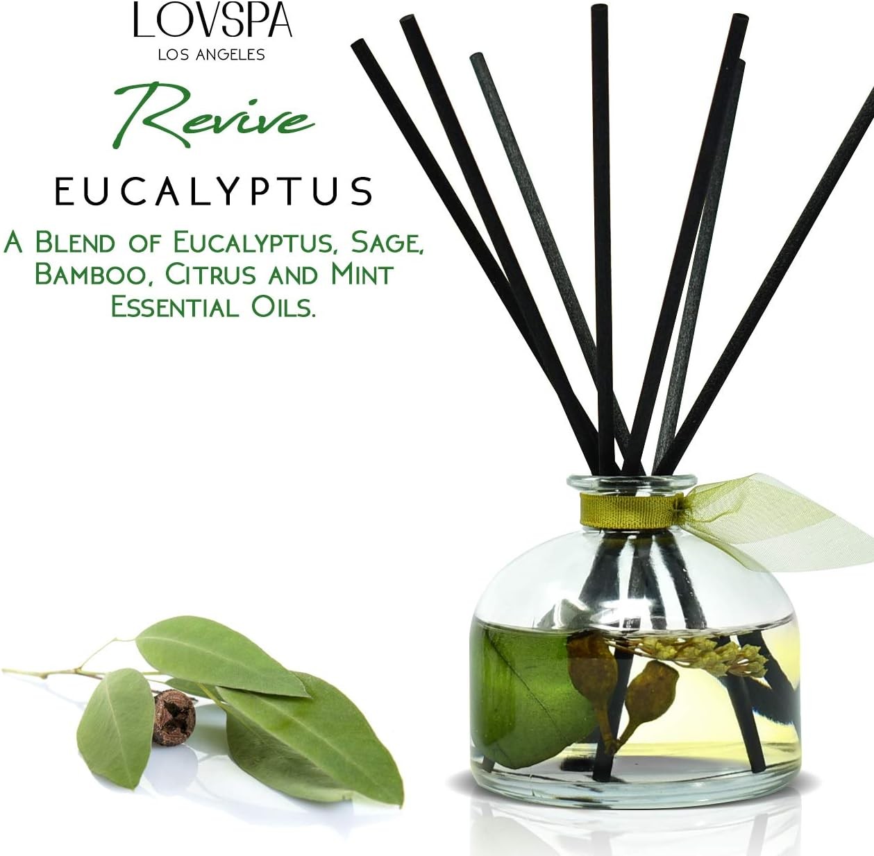 Eucalyptus Reed Diffuser Set for Home, Sage, Mint, Aromatherapy Gift