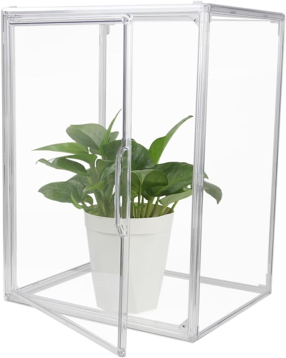 Clear Acrylic Storage Box with Lift-Off Lid – Perfect for Shoes & Collectibles