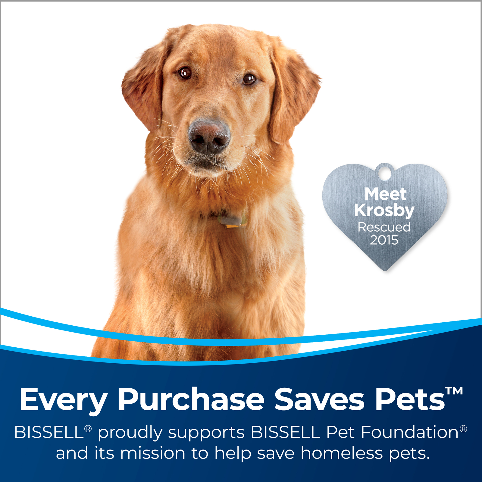 Bissell Natural Sweep Carpet & Floor Manual Light Sweeper Dual Rotating Brushes