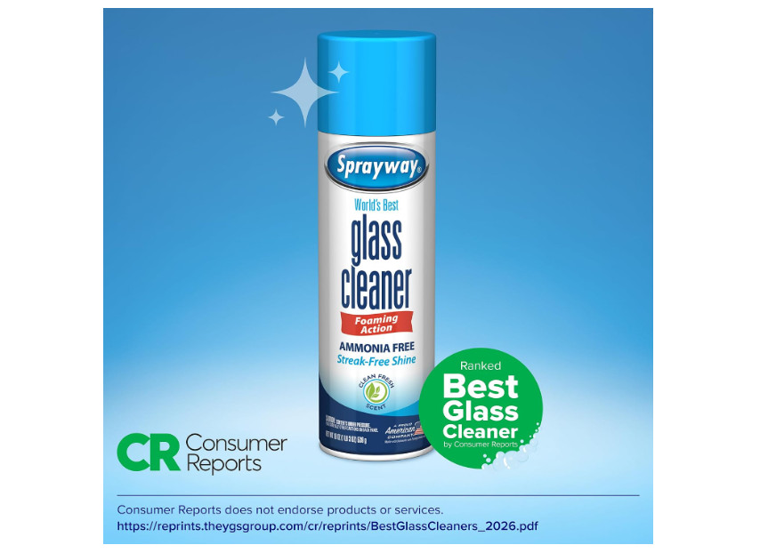 Sprayway Foaming Glass Cleaner 19 Oz Pack of 2 Ammonia Free Streak Free