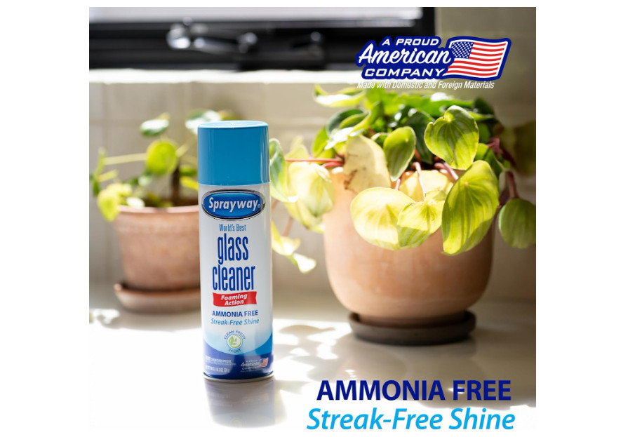 Sprayway Foaming Glass Cleaner 19 Oz Pack of 2 Ammonia Free Streak Free
