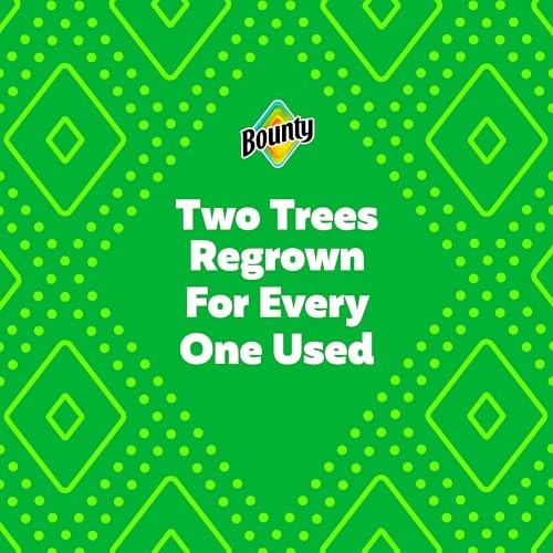 Bounty Select-A-Size Paper Towels, Prints, 2 123 sheet (Pack of 2), Prints