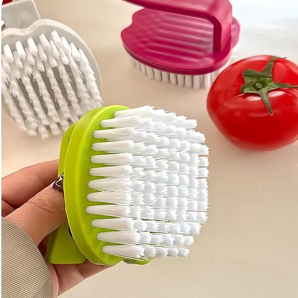 PP Fruit Vegetable Brush Set 3 pcs Hard Bristles Compact 8 cm x 7 cm x 6.5 cm