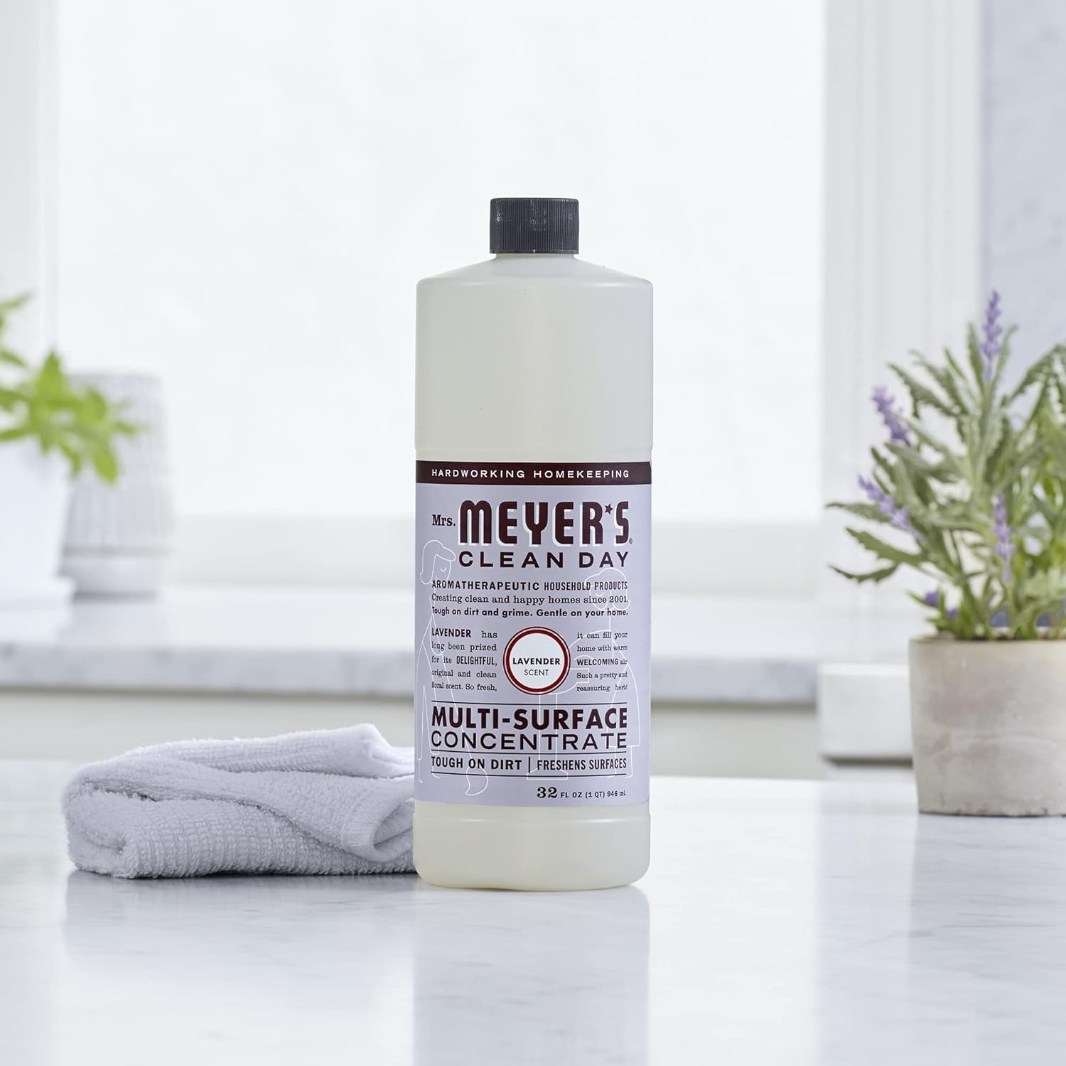CLEAN DAY Multi-Surface Cleaner Concentrate, Use to Clean Floors, Tile, Counters