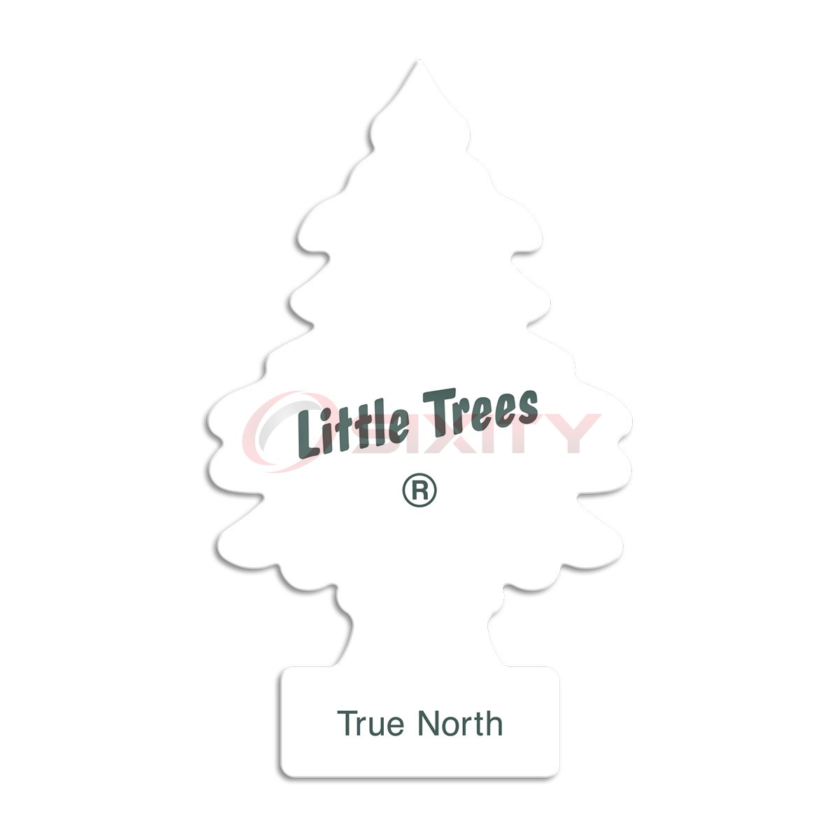 Little Trees True North Hanging Air Freshener Home Car 6-12-24-48-96-144 pc
