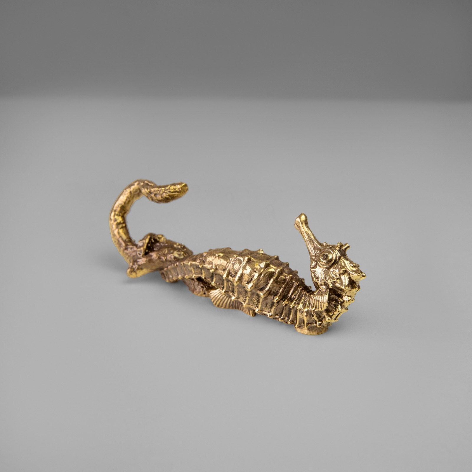 Brass seahorse hook. Strong and durable, perfect for bathroom towels