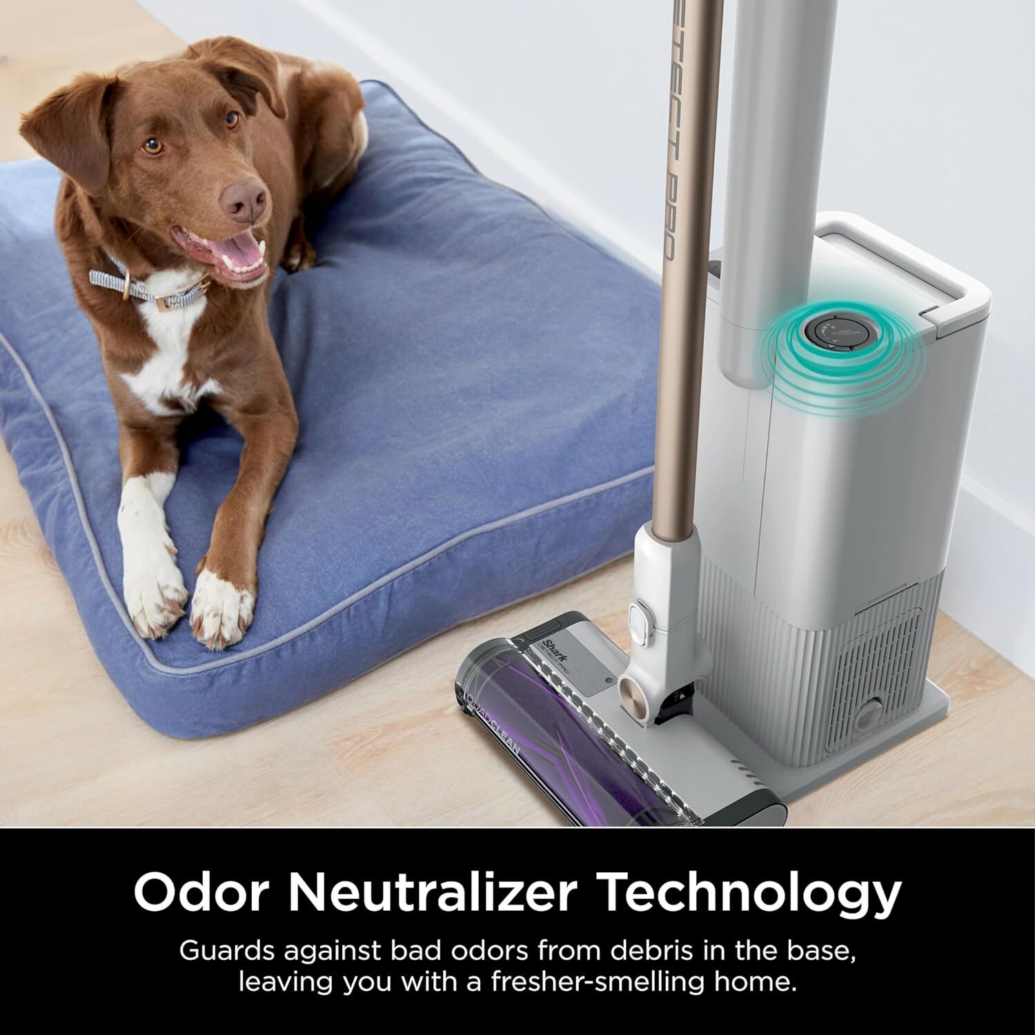 Shark IW3615 Detect Pro Cordless Stick Vacuum with HEPA Auto-Empty (Renewed)