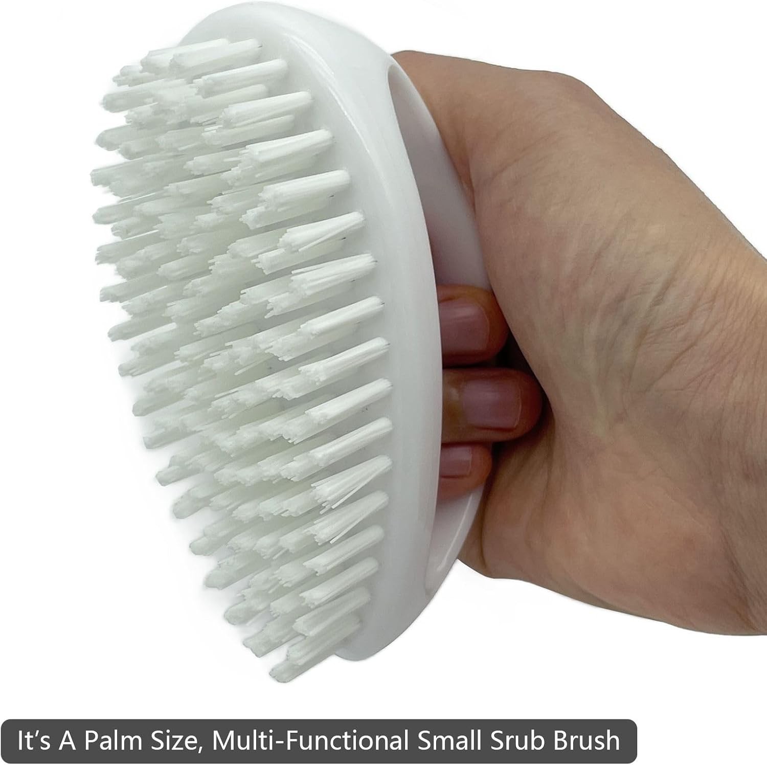 Small Scrub Brush with Stiff Nylon Bristles Heavy Duty Cleaning Brush | Good for