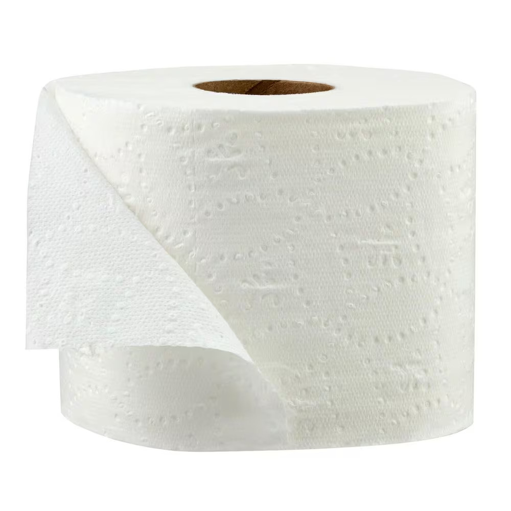 Premium Ultra Soft 2-Ply Toilet Tissue (244-Sheets per Roll-18-Rolls per Pack)