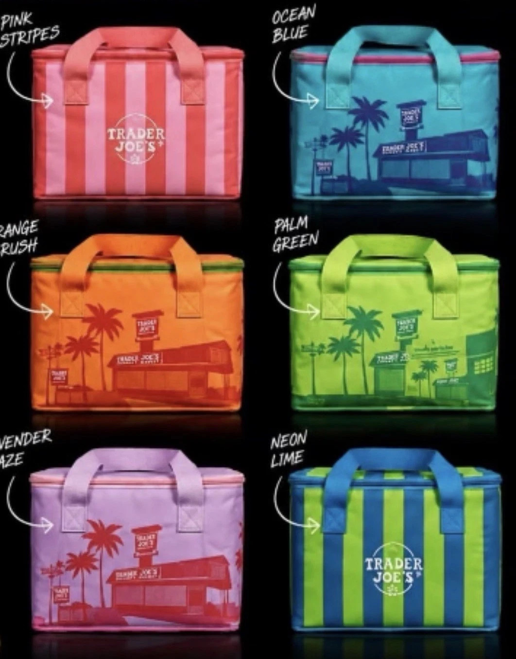 Trader Joe’s Mini Insulated Tote Bag Summer Fun Collection NEW 2026 Choose Color