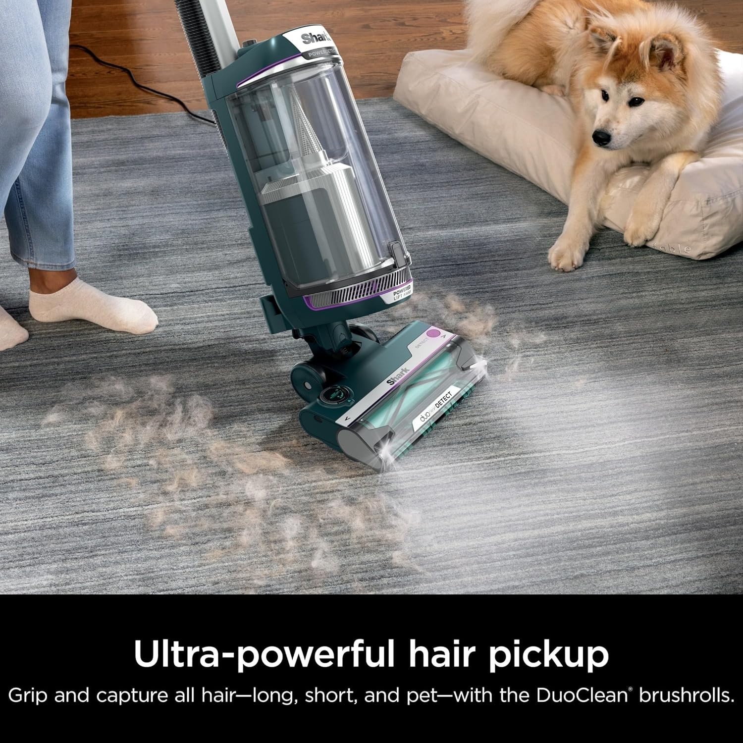 Shark Navigator Upright Carpe tVacuum Cleaner with Self-Cleaning Brushroll CU530